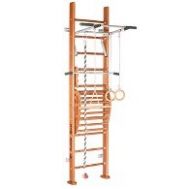 Детский спортивный комплекс (ДСК) &quot;Perfetto sport&quot; Viva PS-104 с тренажером Vinsere, фото 1