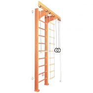 Детский спортивный комплекс Карусель 2Д.02.02 к стене Светлый, фото 1