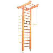 Детский спортивный комплекс Карусель 2Д.04.01 Светлый