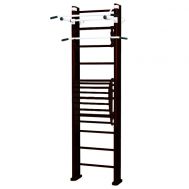 Детский спортивный комплекс Карусель 2Д.03.02 к стене + тренажер для осанки №2 Венге