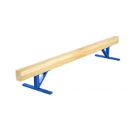 Бревно гимнастическое низкое (04.10.01)