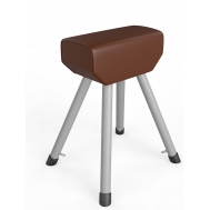 Козел гимнастический (04.900)