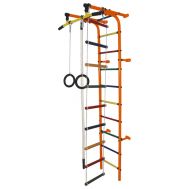 ДСК &quot;Формула здоровья&quot; &quot;Забияка-1А Плюс&quot; оранжевый/радуга, фото 1