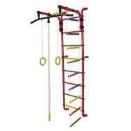 ДСК &quot;Формула здоровья&quot; &quot;Сигма-1А Плюс&quot; красный/радуга, фото 1