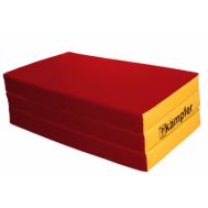 Мат №6 (150х100х10) Kampfer красный/желтый, фото 1