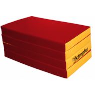 Мат №7 (200х100х10) Kampfer красный/желтый, фото 1