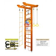 Шведская стенка Kampfer Big Sport Ceiling Basketball Shield (№3 Классический Стандарт), фото 1