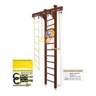 Шведская стенка Kampfer Wooden Ladder Ceiling Basketball Shield (№5 Шоколадный Высота 3 м), фото 1