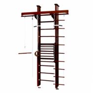 Детский спортивный комплекс Карусель 2Д.02.02 к стене + тренажер для осанки №2 Венге