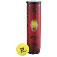 Мяч теннисный Wilson TeamW Practice, фото 1