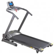 Беговая дорожка Hasttings Fusion, фото 1