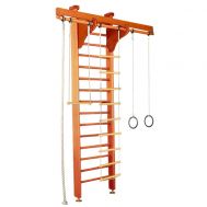 Детский спортивный комплекс Карусель 2Д.02.01 Орех