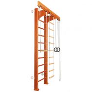 Детский спортивный комплекс  Карусель 2Д.02.02 к стене Орех, фото 1