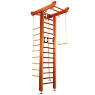 Детский спортивный комплекс Карусель 2Д.04.01 Орех