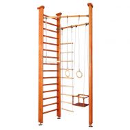 Детский спортивный комплекс Карусель 3Д.01.01 Орех