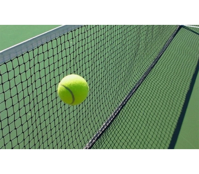 Сетка теннисная, нить D=4 мм, стальной трос (11.203)