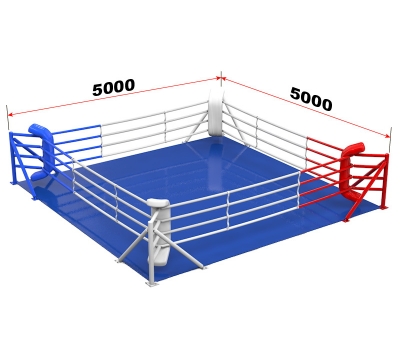 Ринг боксерский на упорах (5.301), фото 1