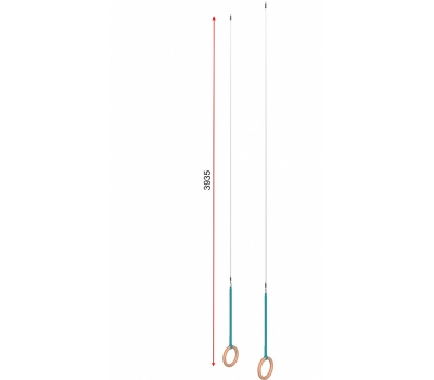 Кольца гимнастические d=235 мм с тросом (04.402 и 04.402.01), фото 1