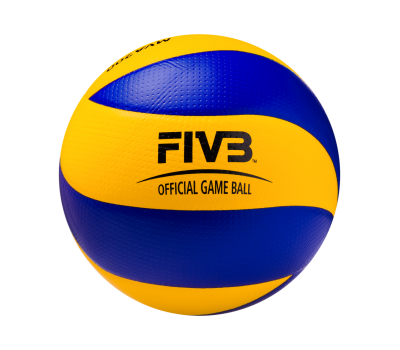 Волейбольный мяч MVA 200 FIVB Official game ball, фото 3
