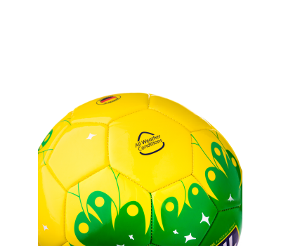 Футбольный мяч Brasil, фото 4