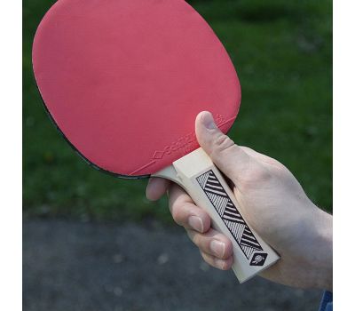 Набор для настольного тенниса DONIC CHAMPS 150, фото 6