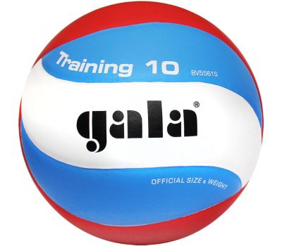 Мяч волейбольный Gala Training 10, фото 1