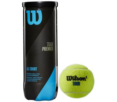 Мяч теннисный Wilson Tour Premier All Court, фото 1