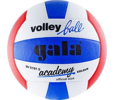Мяч волейбольный Gala Academy, фото 1