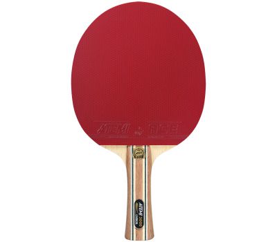 Ракетка для настольного тенниса Atemi PRO 3000 AN, фото 1
