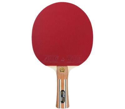 Ракетка для настольного тенниса Atemi PRO 5000 CV, фото 1