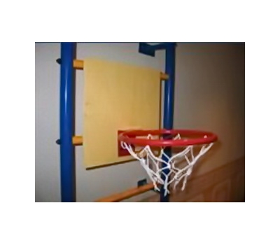 Кольцо баскетбольное со щитом Самсон, фото 2