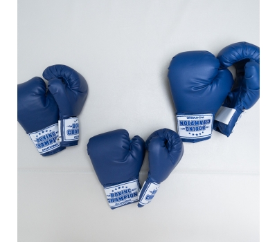 Перчатки боксерские для детей 10-12 лет (8 унций) Romana ДМФ-МК-01.70.05, фото 5