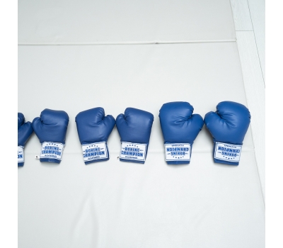 Перчатки боксерские для детей 5-7 лет (4 унции) Romana ДМФ-МК-01.70.03, фото 9