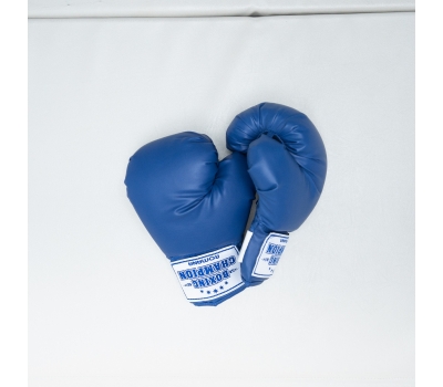 Перчатки боксерские для детей 5-7 лет (4 унции) Romana ДМФ-МК-01.70.03, фото 1