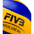 Волейбольный мяч MVA 200 FIVB Official game ball, фото 4