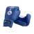 Перчатки боксерские, 10oz, к/з, синие, фото 1