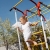 Детский спортивный комплекс для дачи Romana Акробат-2 (фанерные качели), фото 8