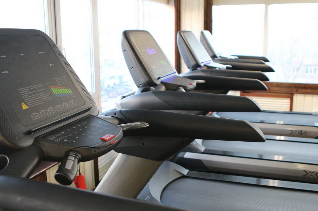 Профессиональная беговая дорожка SHUA SH-5918