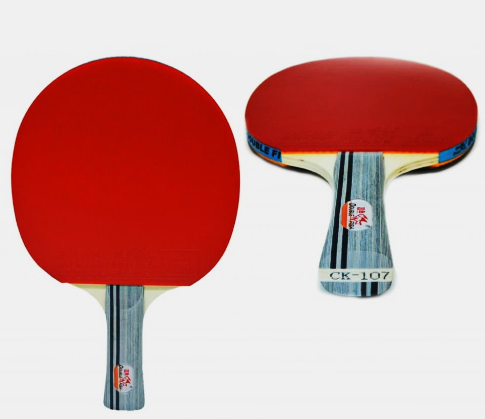 Ракетка для настольного тенниса DOUBLE FISH - СК-107
