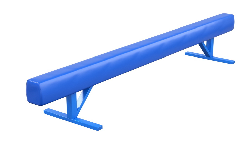 Бревно гимнастическое низкое мягкое (04.10.07)