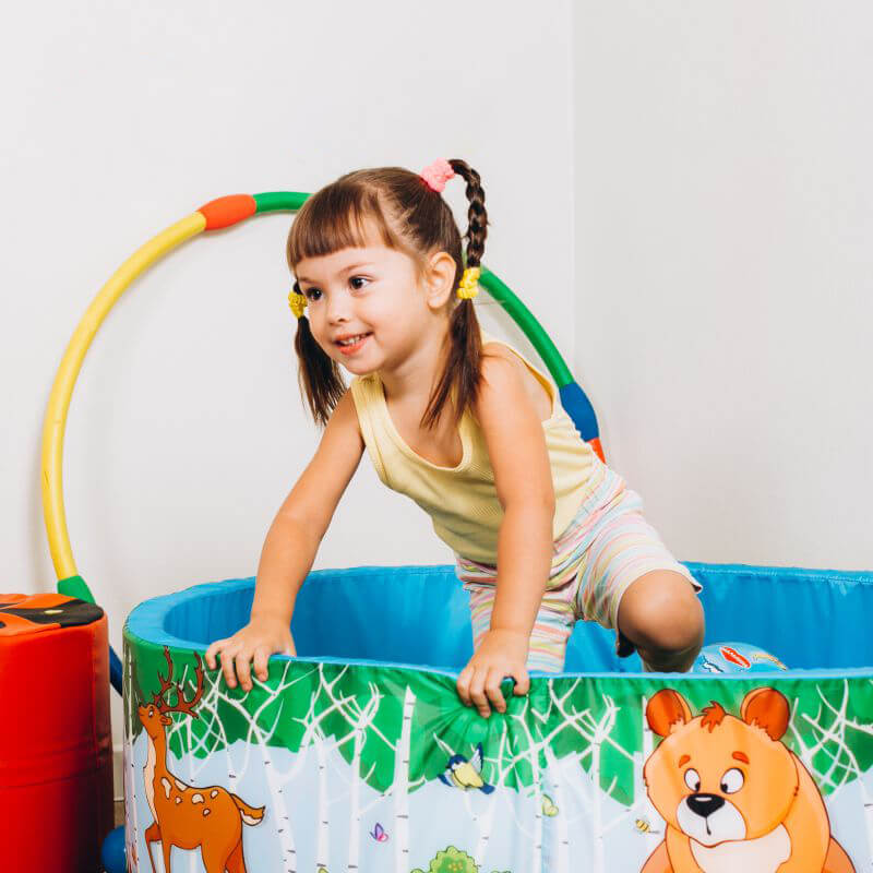 Сухой бассейн ЗВЕРЯТА Romana (ДМФ-МК-02.52.01)