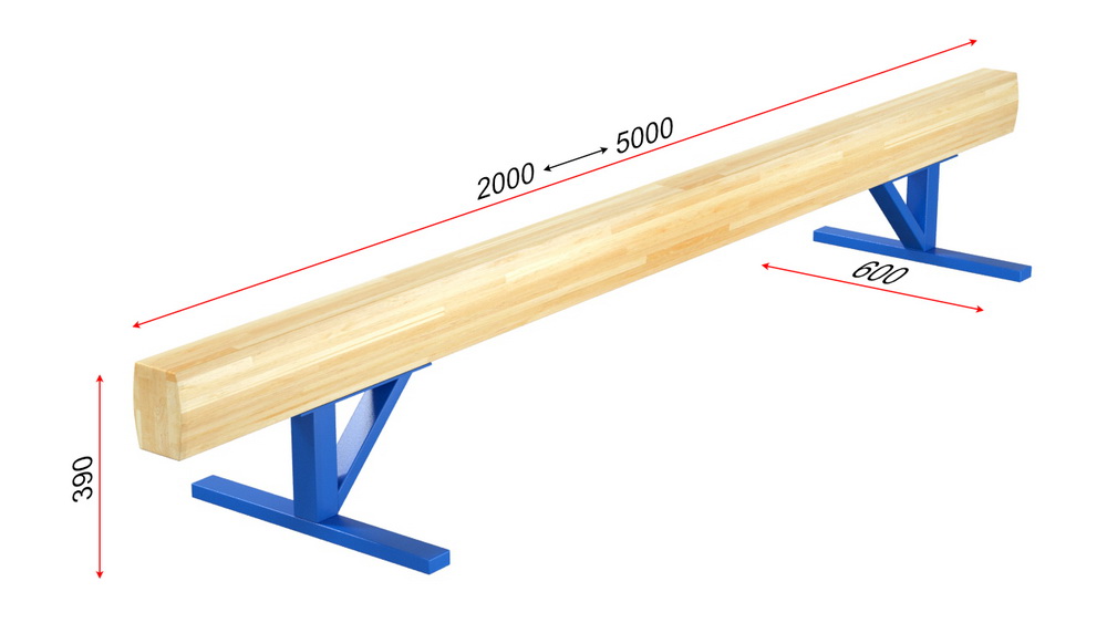 Бревно гимнастическое низкое (04.10.01)
