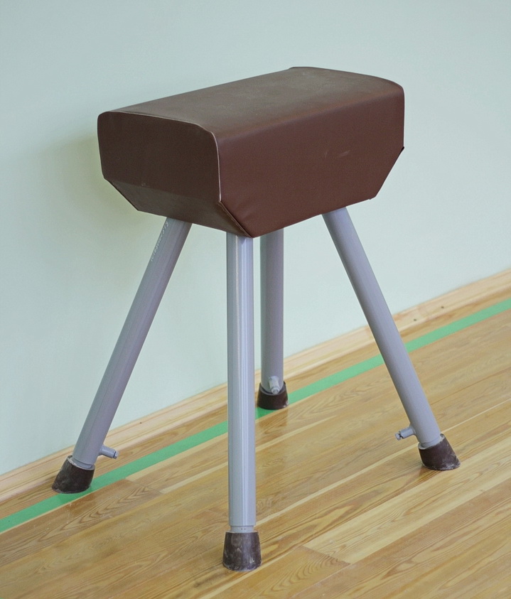 Козел гимнастический (04.900)