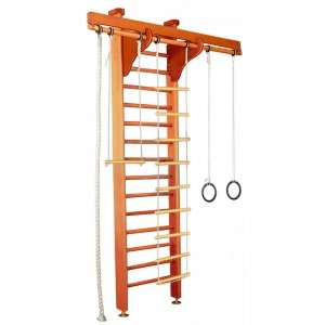 Детский спортивный комплекс Карусель 2Д.02.01 Светлый