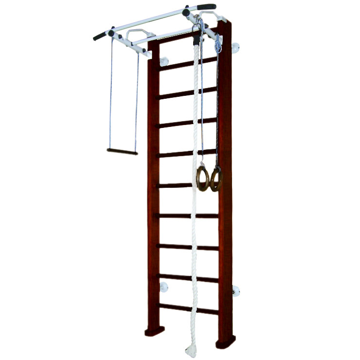 Детский спортивный комплекс Карусель 2Д.03.03 к стене Орех