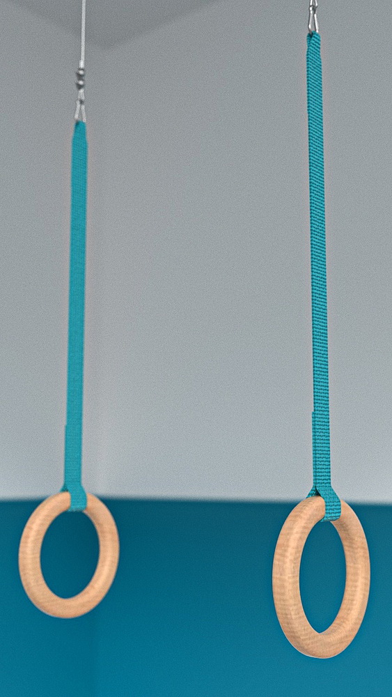 Кольца гимнастические d=210 мм с тросом (04.402.2 и 04.402.1)