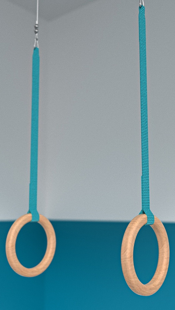 Кольца гимнастические d=235 мм с тросом (04.402 и 04.402.01)