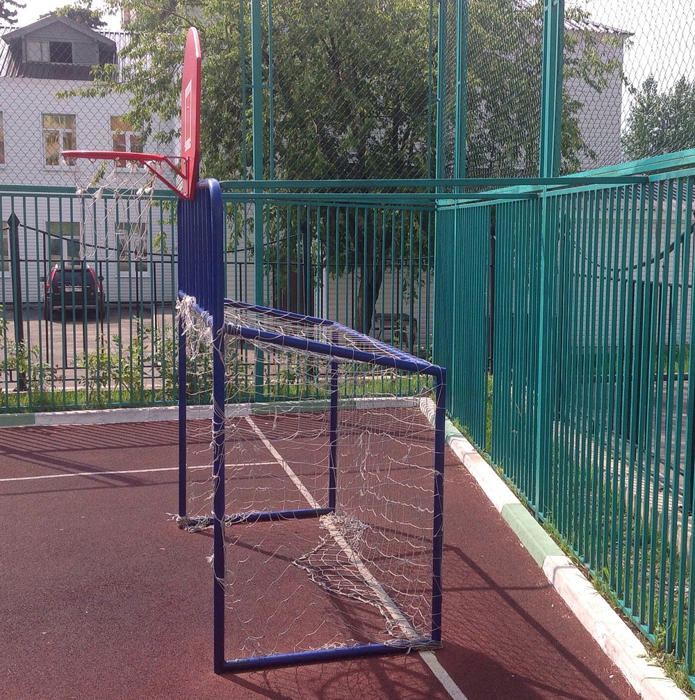 Хоккейные ворота со стритбольным щитом (17.103)