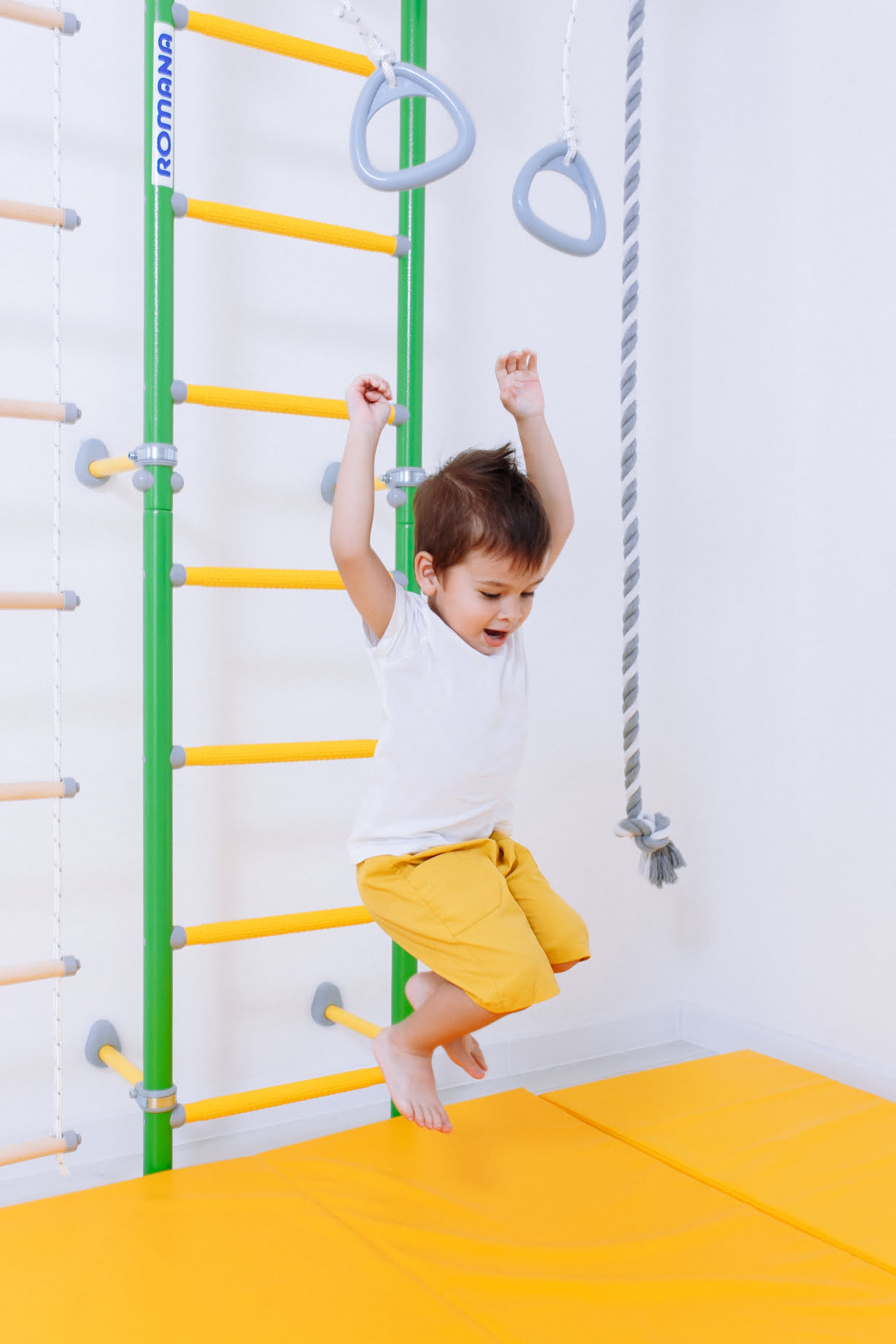 Шведская стенка S6 Karusel Romana(01.21.8.06.410.06.00-14) синяя слива