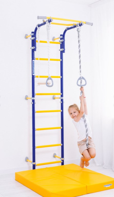 Шведская стенка Next Top ROMANA (01.21.8.06.490.03.00-24) синяя слива